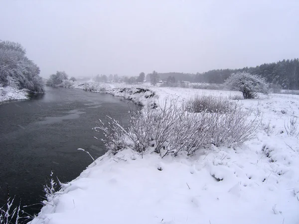 Bela Paisagem Inverno Com Pequeno Rio Árvores — Fotografia de Stock