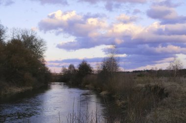 Bahar manzara göl kenarında. Doğa.