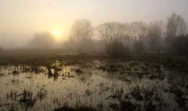 Nehirde sisli bir sabah. Şafak