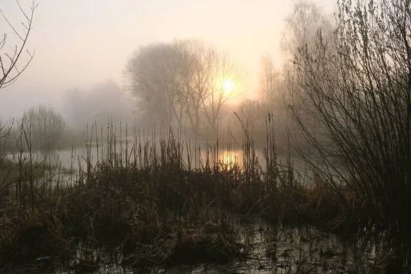 Mañana Brumosa Río Amanecer —  Fotos de Stock