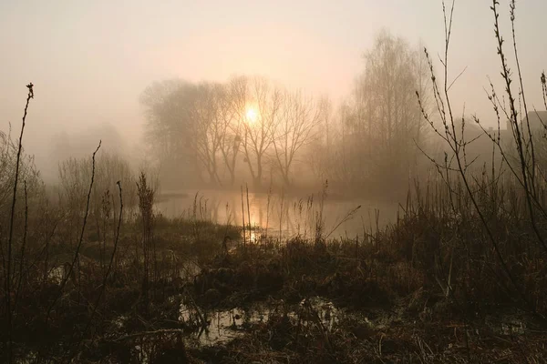 Matin Brumeux Sur Rivière Aube — Photo