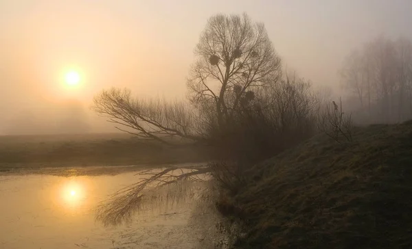 Nebliger Morgen Auf Dem Fluss Morgendämmerung — Stockfoto