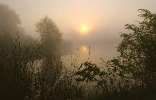 Foggy Morning Dawn City Warm Day — Stock Photo, Image
