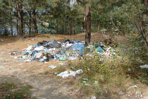 Lixo Floresta Poluição Ambiental — Fotografia de Stock