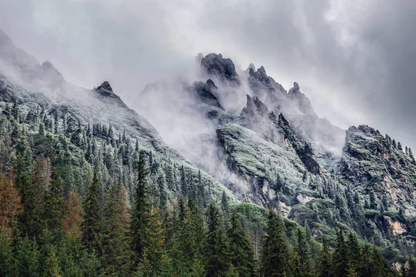 Montanhas Nebulosas Primavera Montanhas Tatra Com Floresta Verde Nevoeiro Fotografia — Fotografia de Stock