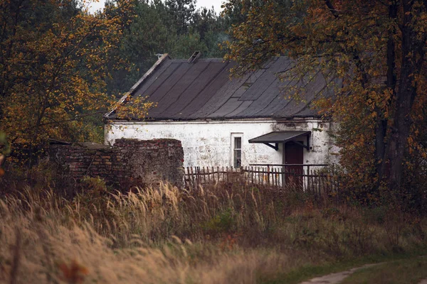 Old Rustic House Woods Vintage Abandoned Building Countryside Wooden House — Stock Photo, Image