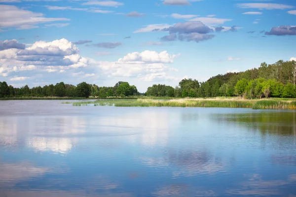 stock image Lake landscape in the summer. Beautifull scenic view with water, clouds and trees.