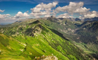 Mavi bulutlu gökyüzü ile yüksek dağ tarzı manzara. Yeşil vadili ve kayalık zirveli bir dağ manzarası. Yazın Tatra Dağları.