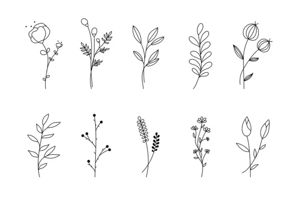 Ensemble de branches de fleurs dessinées à la main. Esquisse graphique florale simple avec silhouettes feuillues, style contour isolé sur fond blanc. Illustration vectorielle — Image vectorielle