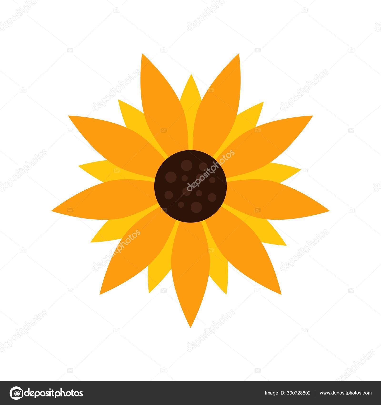 Simbol Logo Bunga Matahari Bunga Musim Panas Abstrak Diisolasi