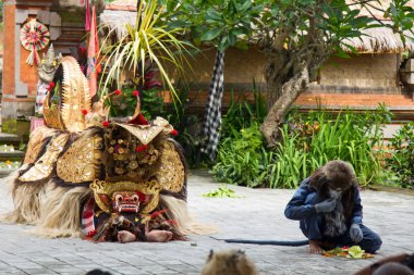 Bali - 14 Ekim 2010: Barong Dance. Yerel halk geleneksel performansını. Dans temelde Barong - sipariş ve Rangda - kaos ve yıkım, karşıt güçleri arasında bir yarışma olduğunu.