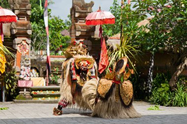 Bali - 14 Ekim 2010: Barong Dance. Yerel halk geleneksel performansını. Dans temelde Barong - sipariş ve Rangda - kaos ve yıkım, karşıt güçleri arasında bir yarışma olduğunu.