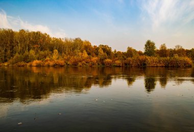 Nehir ve ormanlı manzara