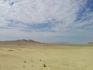 Çöl gezisi.