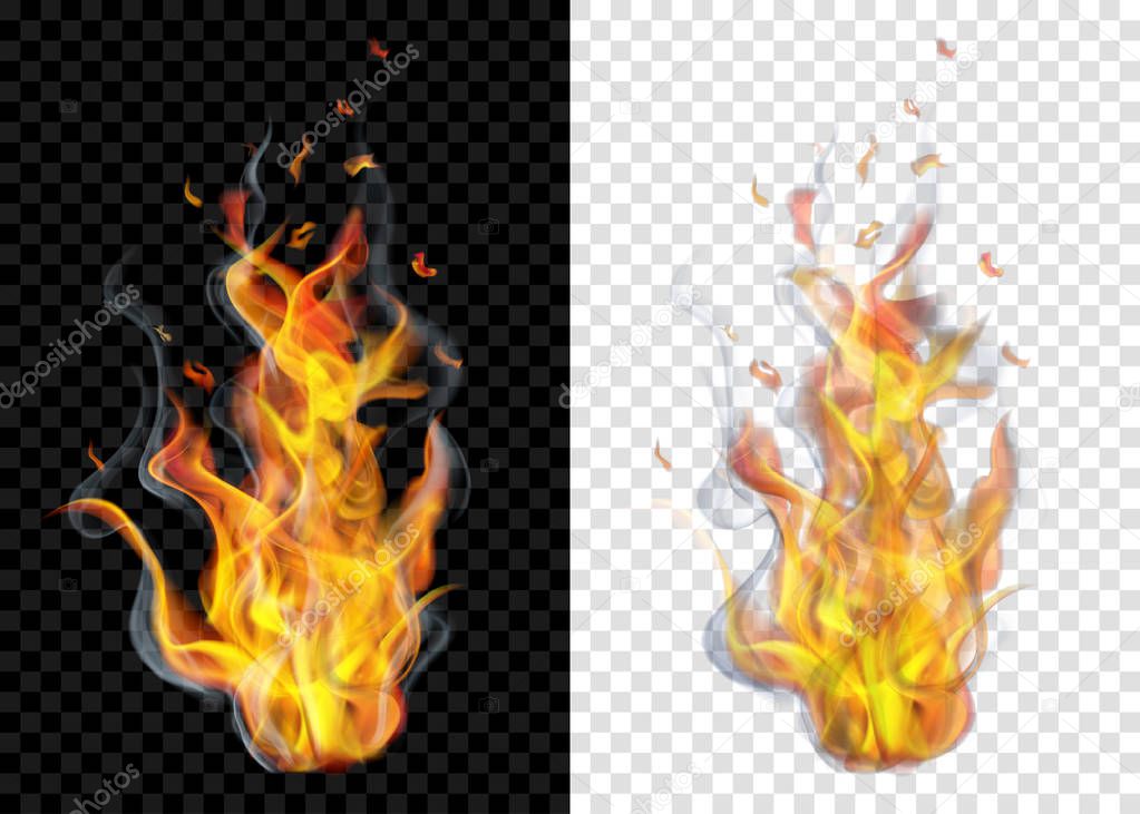 Two translucent burning campfires with smoke on transparent background. For used on light and dark backdrops. Transparency only in vector format