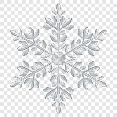 Büyük yarı saydam Noel kar tanesi