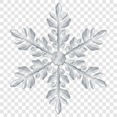 Büyük yarı saydam Noel kar tanesi