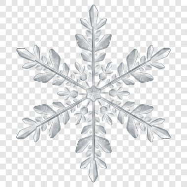 Büyük yarı saydam Noel kar tanesi