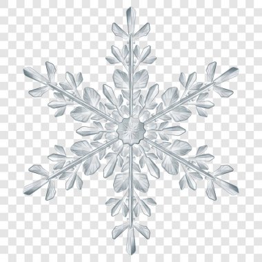 Büyük yarı saydam Noel kar tanesi