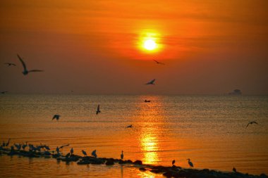 Balıkçılar balıkçılık denizin ortasında gündoğumu süre: Samut Sakhon Eyaleti, Tayland Tayland Körfezi, ahşap kırmızı köprü tarafından terk.