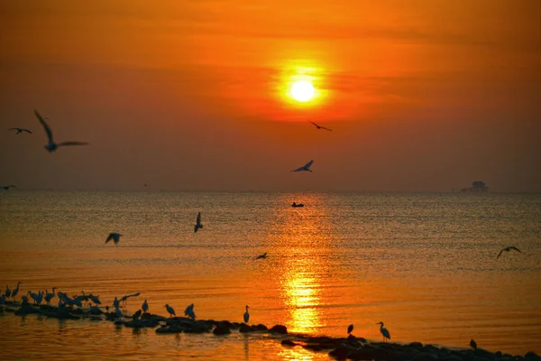 Fischer Verlassen Die Fischerei Mitten Meer Während Der Sonnenaufgang Der — Stockfoto