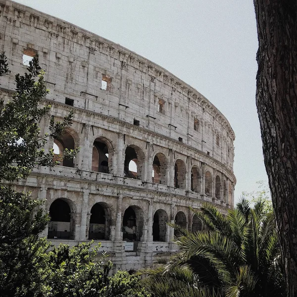 Vista Del Coliseo Roma Sobre Fondo Del Cielo Roma Italia —  Fotos de Stock