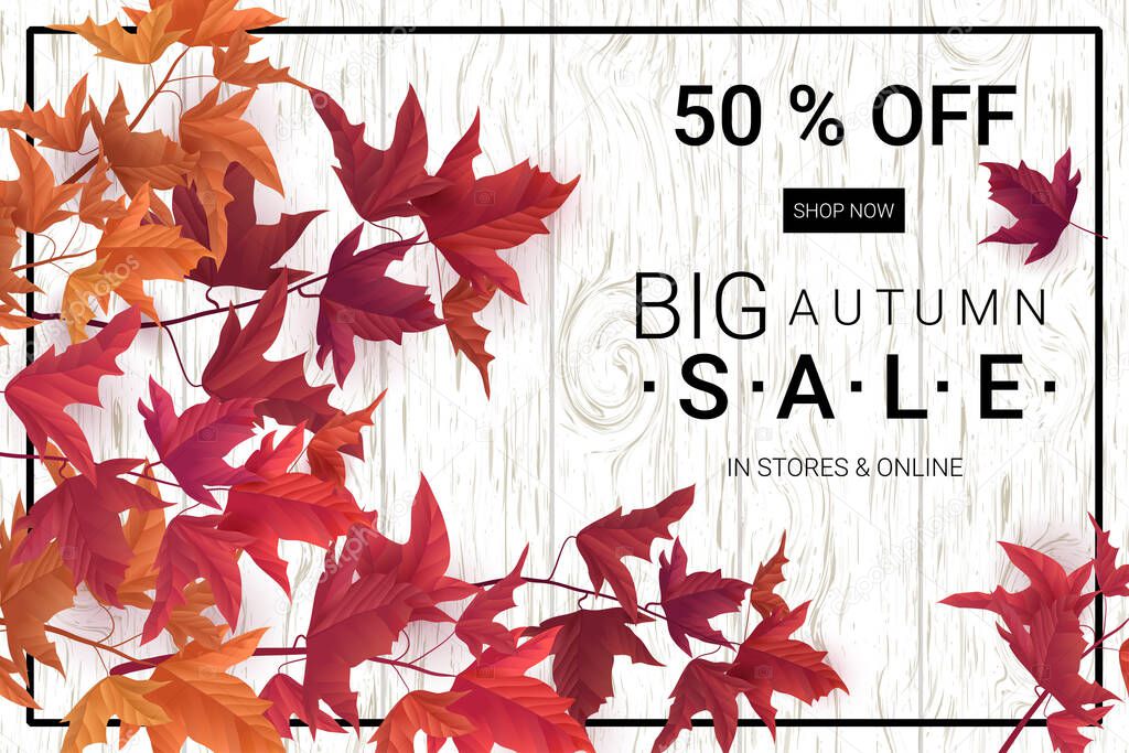 Big Autumn sale. Fall sale trendy design template. Can be used for flyers, banners or posters. Vector illustration with colorful autumn leaves 