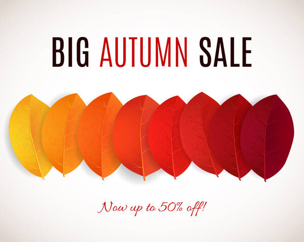 Fall sale design. Can be used for flyers, banners or posters. Vector illustration with colorful autumn leaves 