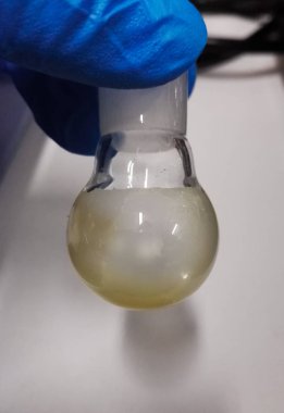 Deneme (bilimsel araştırma) için mavi koruyucu eldivenler ile bir el tarafından düzenlenen laboratuvar cam top cep şişesi. Reaktif laboratuvar cam ürünleri, lipozomlar ve nanoteknoloji için bilimsel laboratuvar arka plan