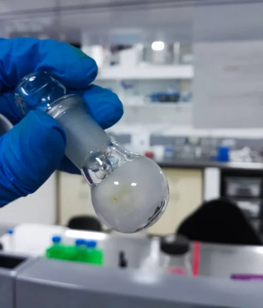 Laboratory glass ball flask held by a hand with blue protective gloves for experiment (scientific research). Reagent lab glassware, lipid film, liposomes and scientific laboratory background for nanotechnology and biotechnology.