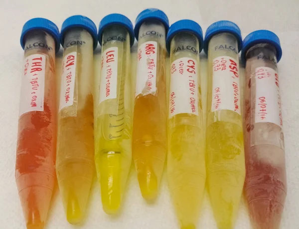 Falkenschläuche Mit Blauem Schraubverschluss Die Chemische Substanzen Gelb Rot Orange — Stockfoto