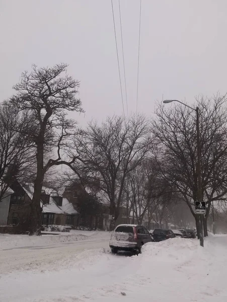 雪で覆われた静かな地区の通り 駐車した車と裸の木 極端な寒さと冬の天気 冬の自転車レーン 家や電柱 — ストック写真