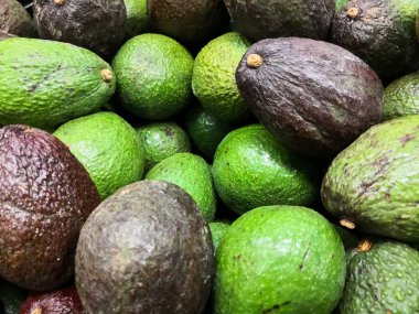 Hass avokado yığın bir tipik koyu yeşil ve yeşil renkli, inişli çıkışlı tenli Close-up. Rudolph Hass tarafından yapılan Persea americana avokado Tarõmõn