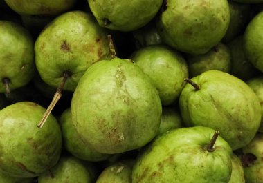 Yakın çekim büyük Guava, tropikal meyve. Psidium guajava üretirler. Lezzetli ve parlak yeşil guavas yığını.