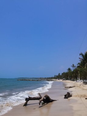 Avuç içi ve diğer ağaçlar ve köpük dalgalar tarafından neden bol bitki örtüsü ile güzel beyaz kum plaj. Mavi gökyüzü ve paradisiac tatil atmosferinde.