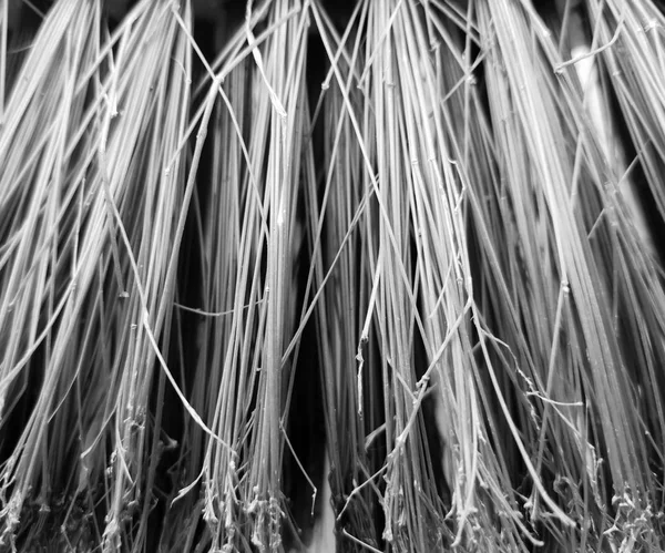 Detail of the bristles of a broom with high contrast and texture of lines and stripes