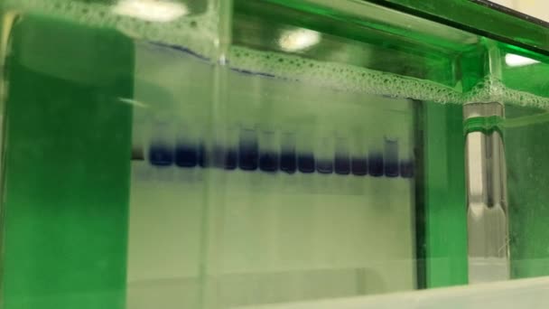 Elektrofores Vetenskapliga Experiment Biokemi Bioteknik Eller Molekylärbiologi Separation Teknik Proteiner — Stockvideo