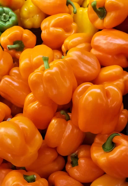 Narancssárga Paprika Szupermarket Polcain Való Helybiztosítást Fényes Csillogó Érdekes Termelnek — Stock Fotó