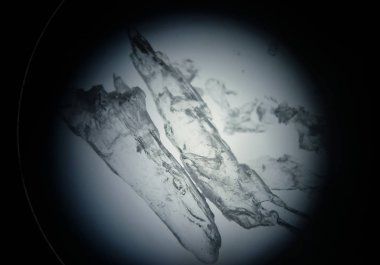 Yarı saydam kristalleri mikroskop altında görülen bir ilacın. İlaç Kimya alanında bilimsel araştırma. Hammadde üretim kalite kontrol.