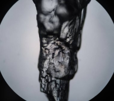 Mikroskop ibuprofen kristalin büyütülmüş görünümü. Kalite kontrol raw material ilaç sektöründe ve araştırmayı inorganik kimya.