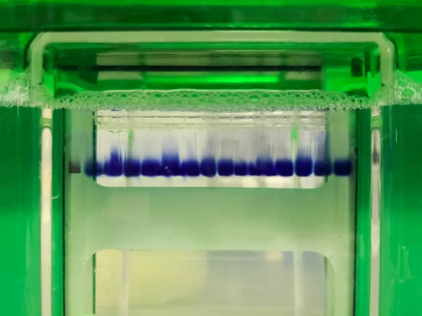 Nahaufnahme Einer Laboreinrichtung Zur Durchführung Der Polyacrylamid Gelelektrophorese Technik Der — Stockfoto