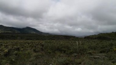 Panoramik paramo ekosistem Purace Ulusal Tabiat Parkı güneybatı Kolombiya and dağlarında. İklim nedeniyle nesli tükenmekte olan bitki örtüsü değiştirin. Özellikle yosunlar ve frailejones.