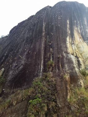 Ayrıntı Guatape taştan. El kalem de Guatape veya La Piedra del Peol olarak da bilinir. Bu bir monolith Antioquia, Colombia siyah yapısı ile ve bazı bitki örtüsü var. Turistik ve seyahat hedef.