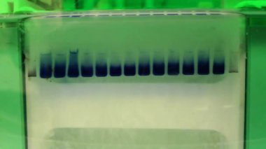Elektroforez deney. Proteinler veya genetik materyal ayrılması için bilimsel teknik. Bubbling ve arabellek yükleme ile yolları.