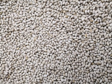 Bir bakkal da lacivert fasulye, haricot veya inci haricot olarak adlandırılan beyaz fasulye bir demet soyut arka plan