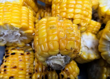 Geleneksel barbekü eşliğinde kavrulmuş mısır koçan parçaları