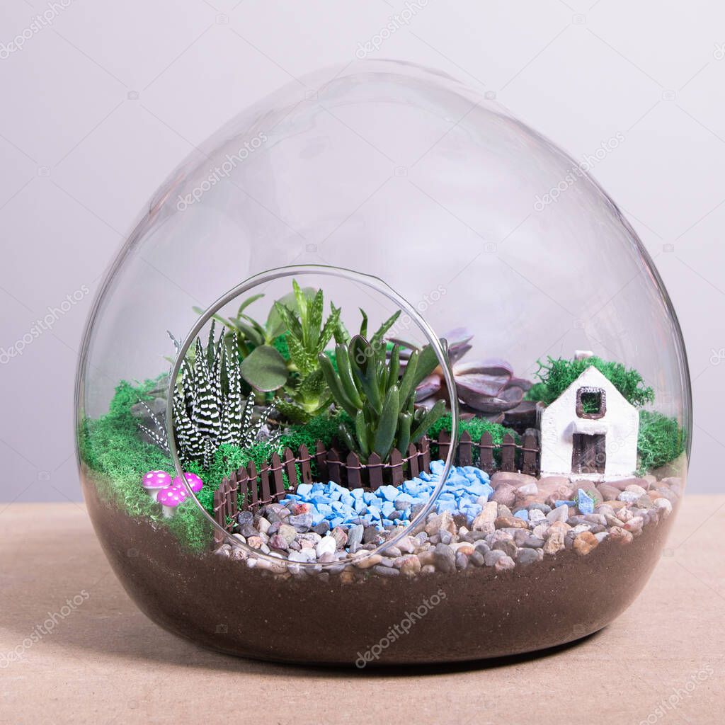 Terrarium, sand, rock, decor house, succulent, cactus in the glass