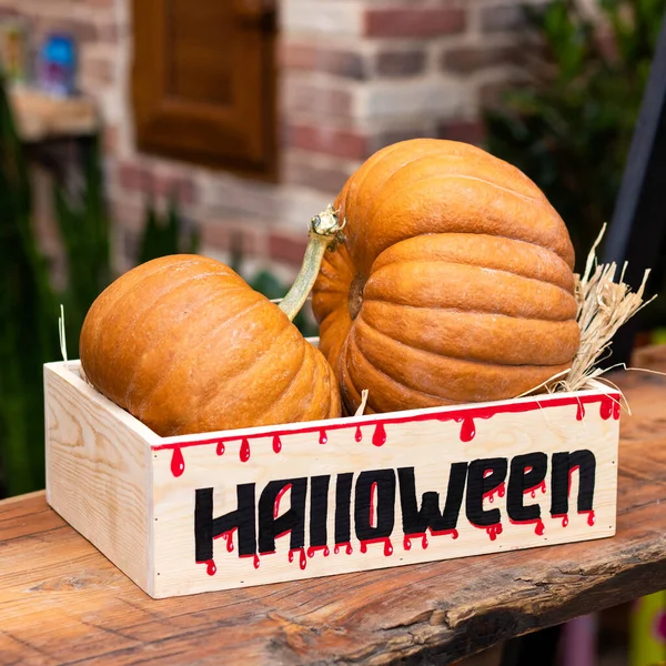 Halloween Pumpkins Wooden Box — Stock Photo, Image