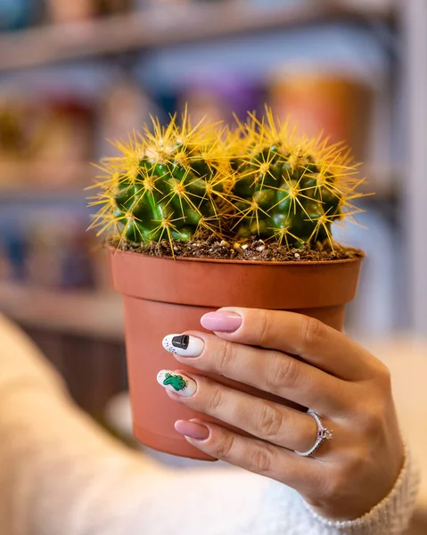 Mujer Sosteniendo Cactus Amarillo Pintado —  Fotos de Stock