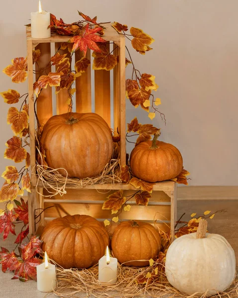 Halloween Pumpkins Wooden Crates Candles Straw Autumn Leaves — Stock Photo, Image